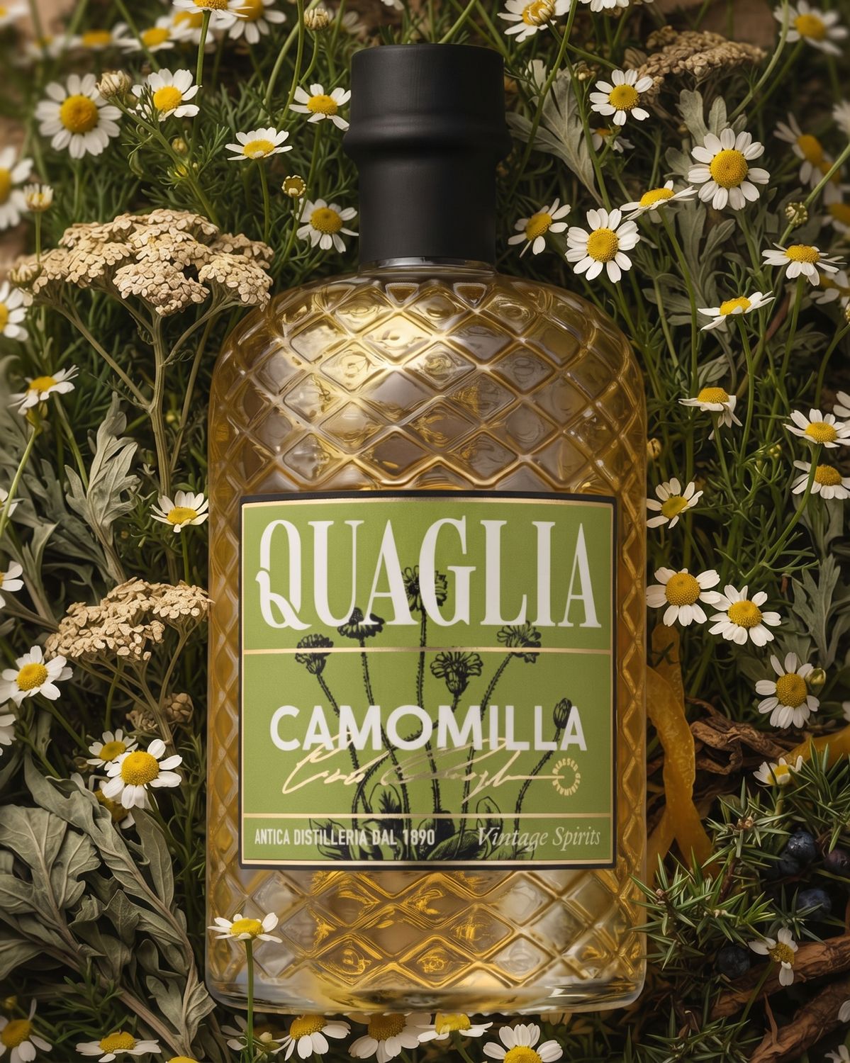 Chamomile Liqueur – Antica Distilleria Quail. 700 ml