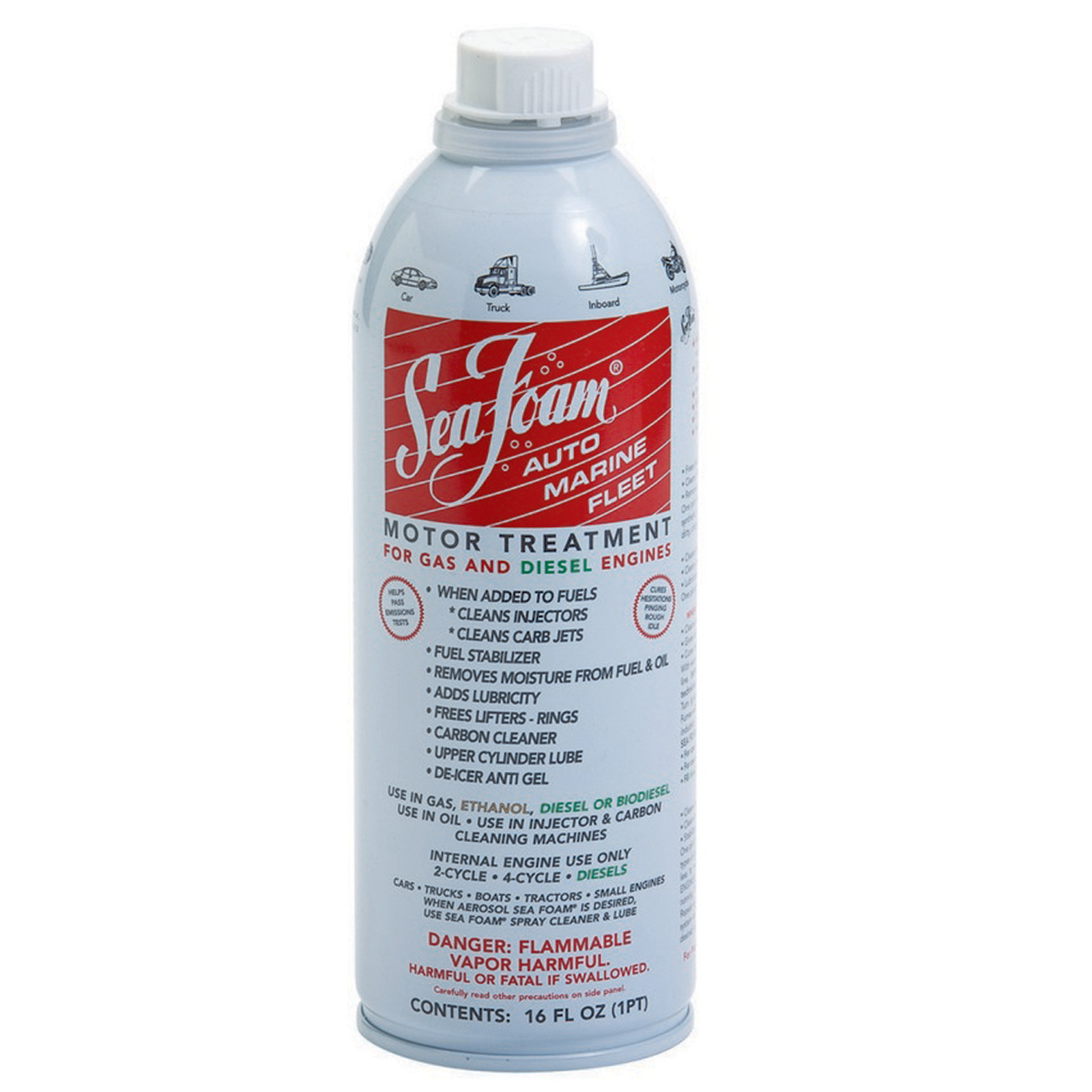 Seafoam Kitten Age