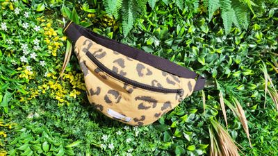 Sacs Banane