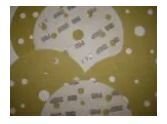 Velcro Backed Abrasive Discs