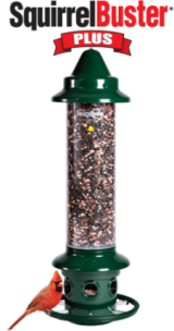 Squirrel Buster™ Plus