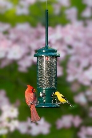 Squirrel Buster™ Feeder — STANDARD (SMALL Size)