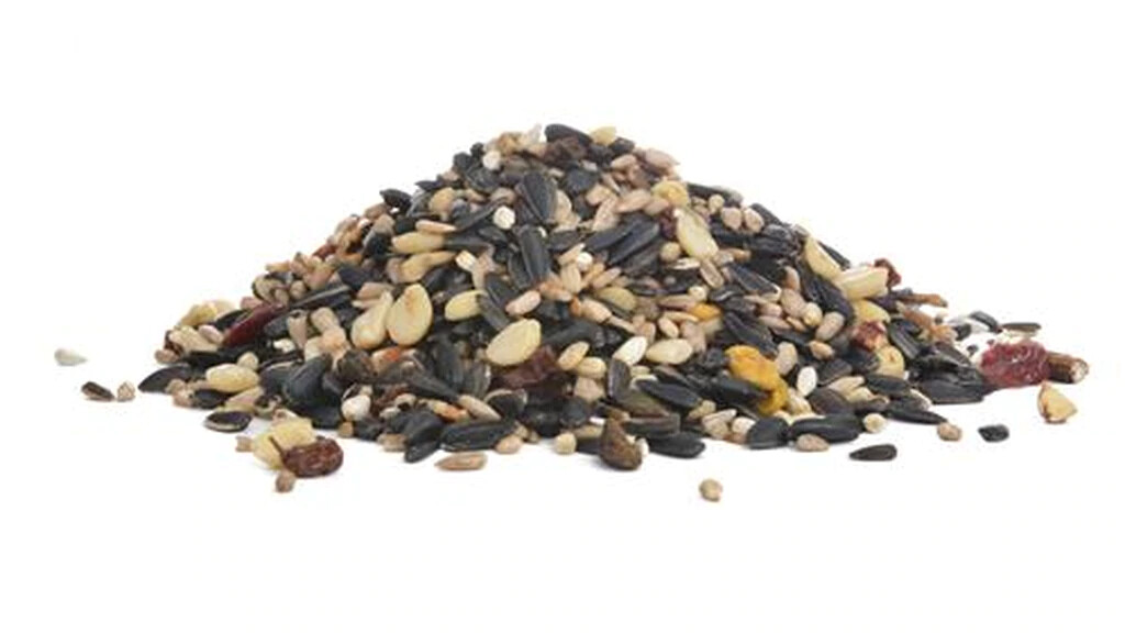 Fruit, Berry &amp; Nut Medley — 20 lb.