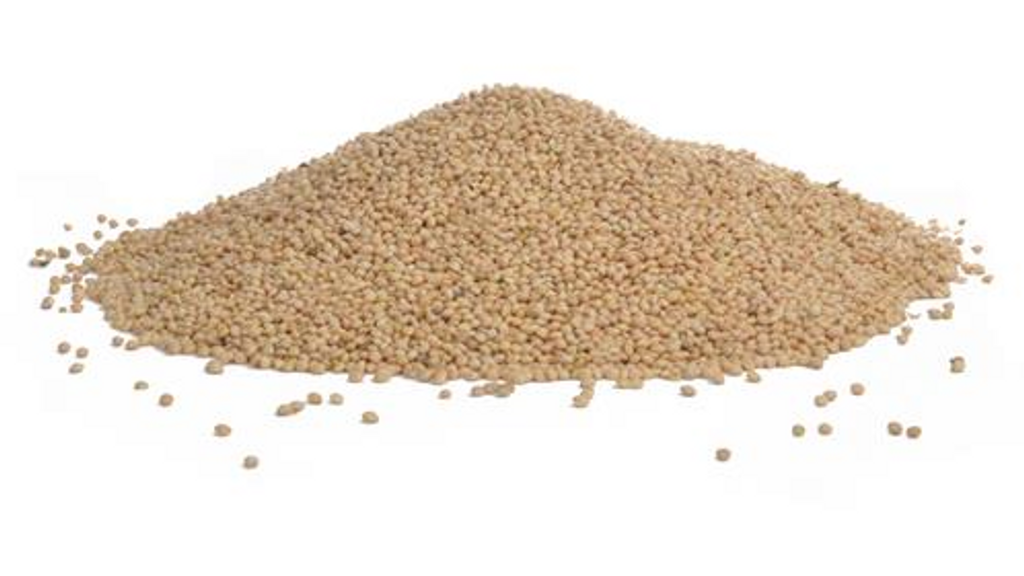 White Millet - 20 lbs