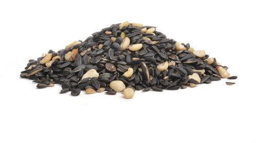 Songbird Medley — 20 lb.