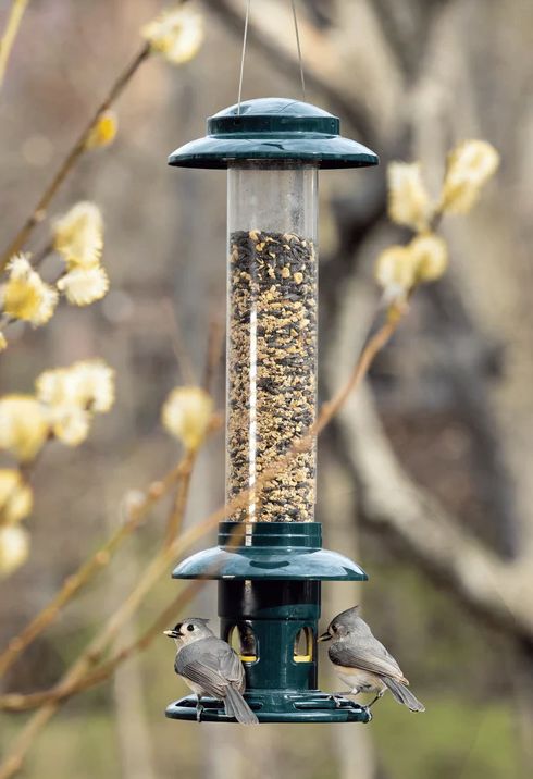Squirrel Buster™ Feeder — Evolution