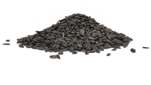 Black Oil Sunflower — premium quality — 40 lbs