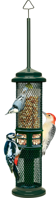 Squirrel Buster™ Feeder — NUT