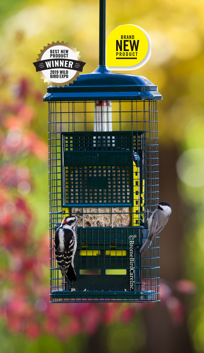 Squirrel Buster™ Suet Feeder