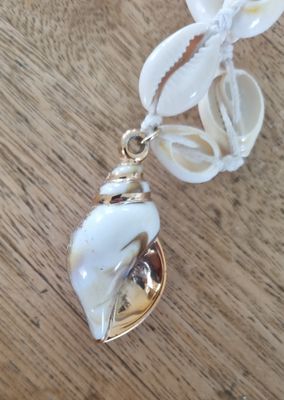 Gold shell cowrie necklace