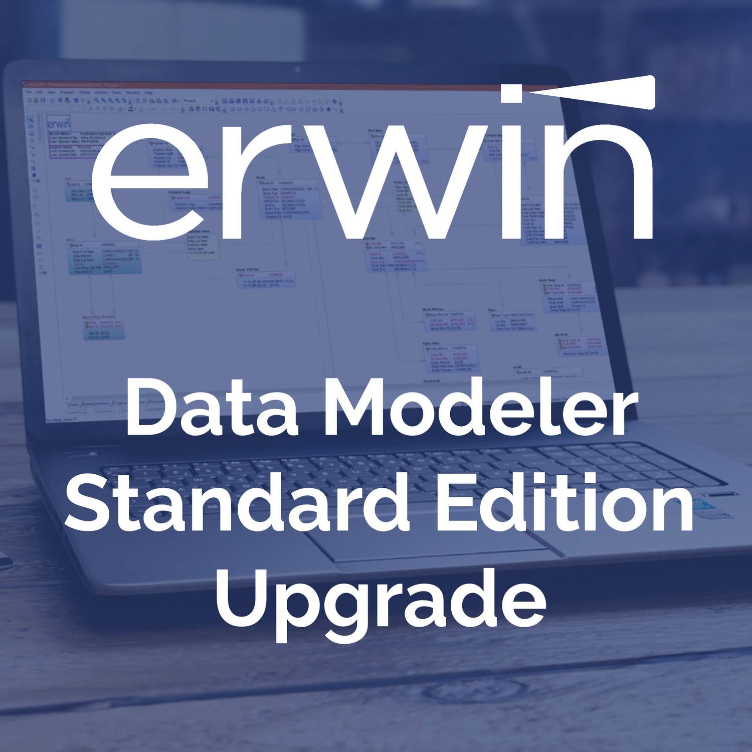 ERwin DM Std Upgrade - Upgrade your expired licenses.