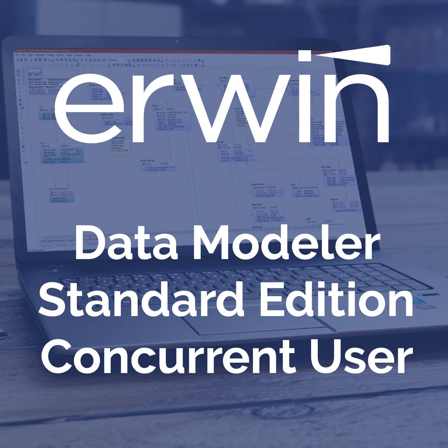 ERwin DM Std - Concurrent User