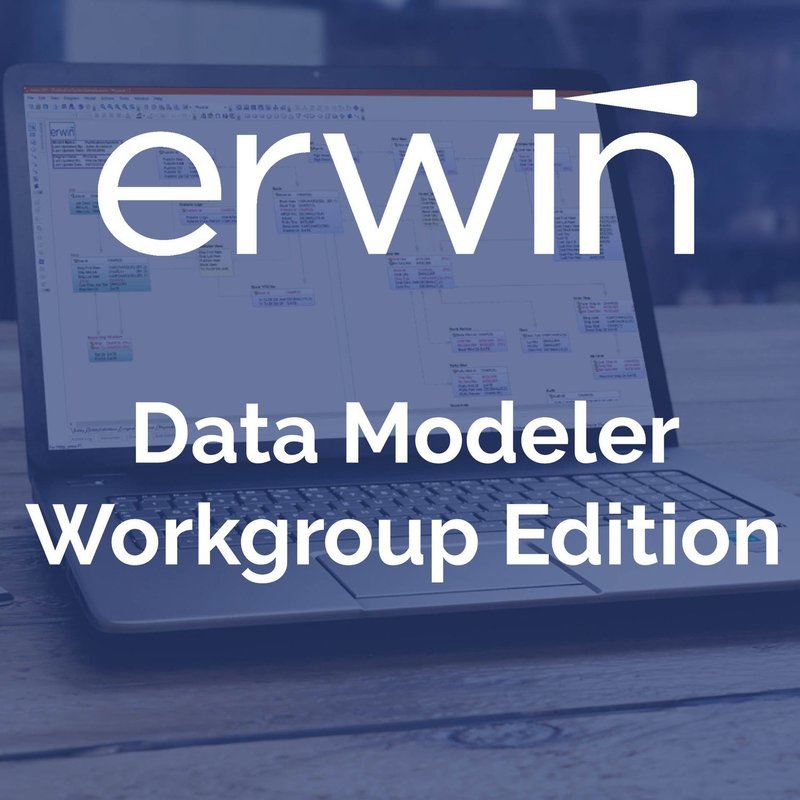 ERwin Data Modeler  - Workgroup Edition