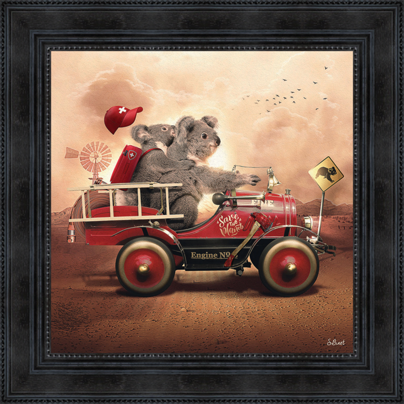Koala 40x40