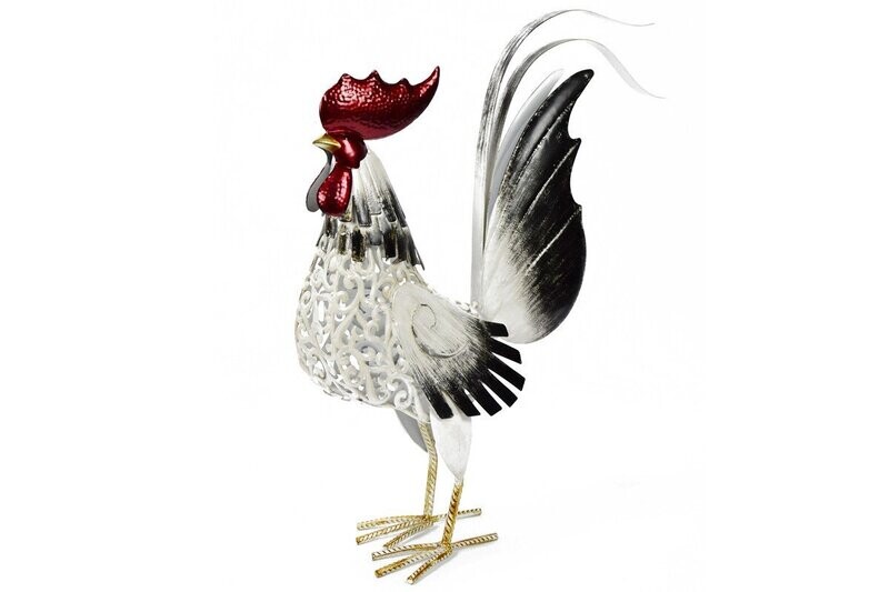 COQ BLANC/GRIS