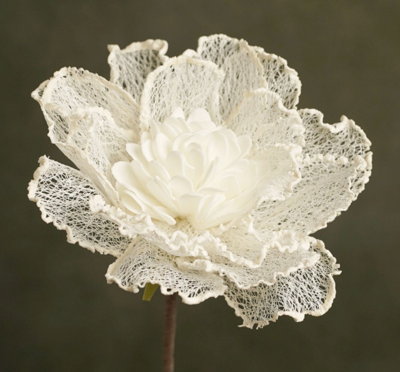 FLORA IRINA FLORA IRINA