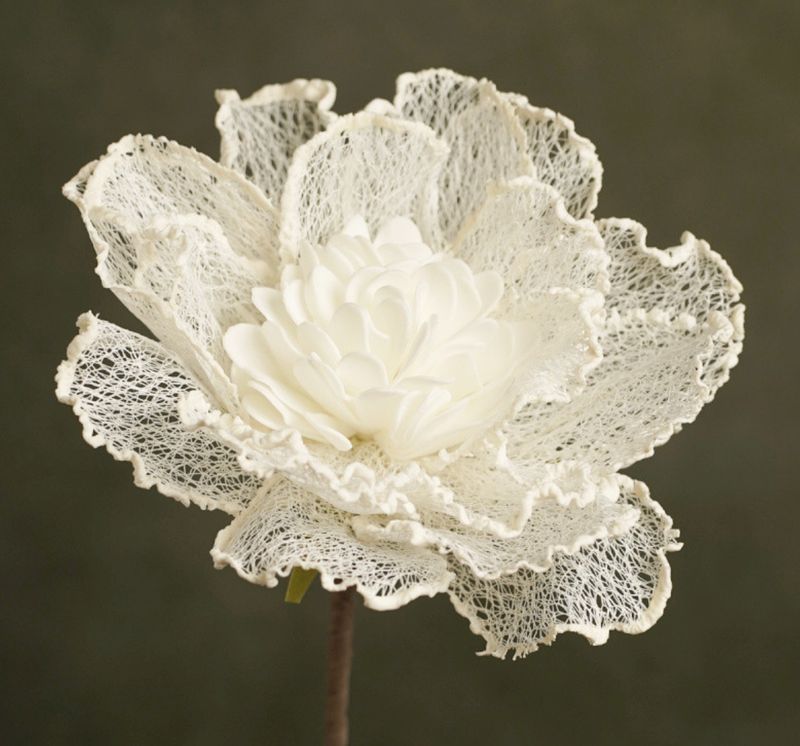 FLORA IRINA