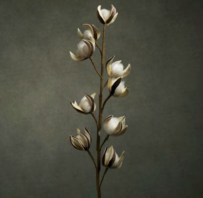 FLORA COTON FLORA COTON