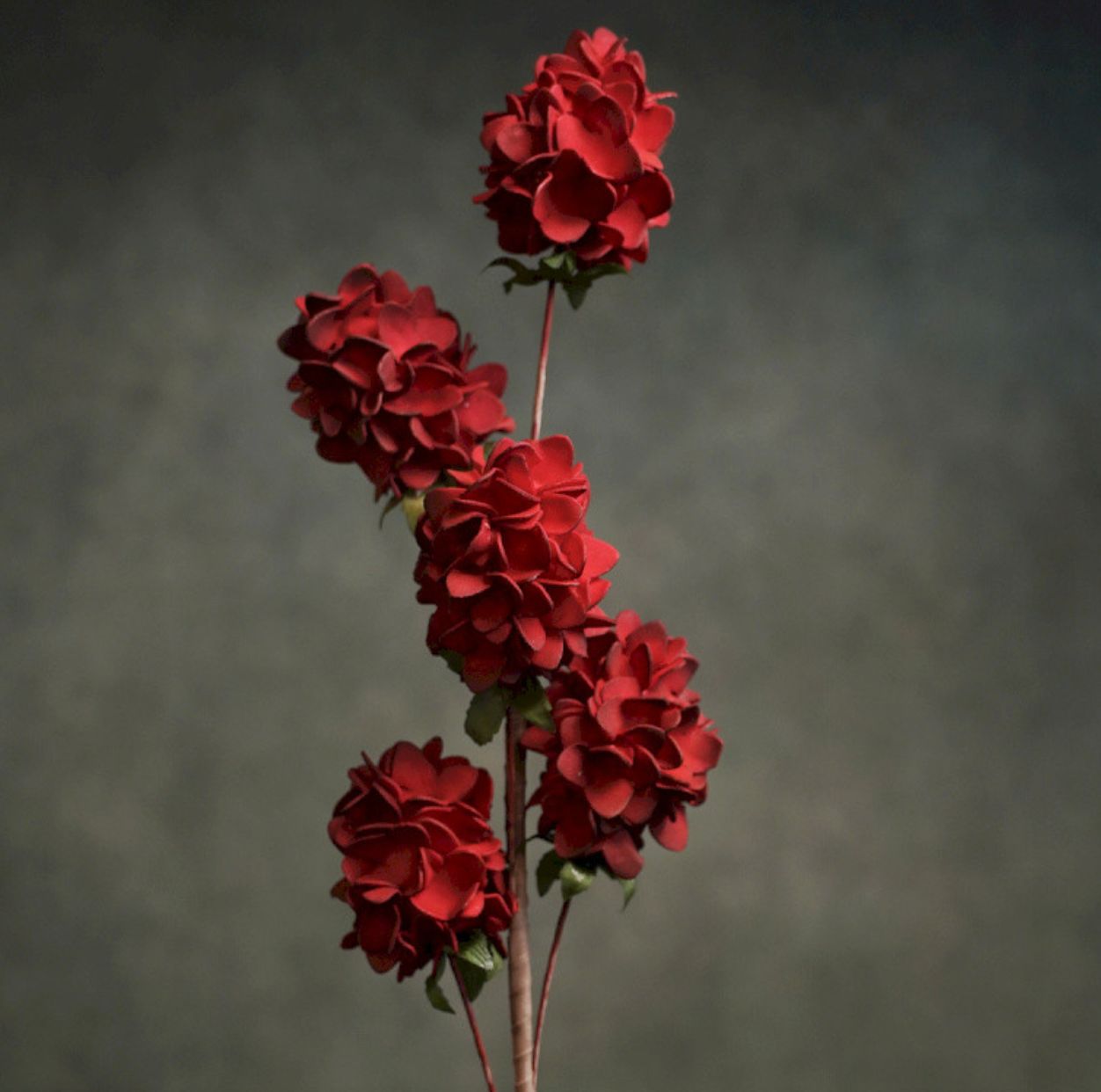 FLORA VITA FLORA VITA