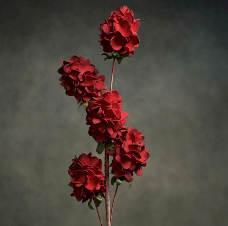 FLORA VITA