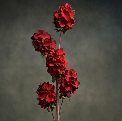 FLORA VITA FLORA VITA