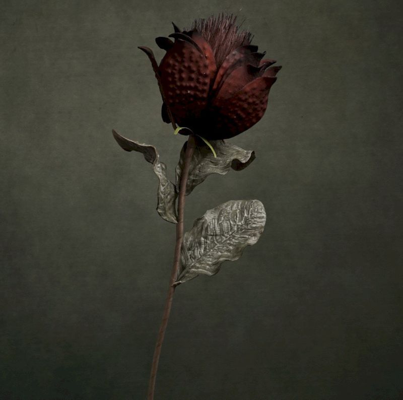 FLORA JANNY
