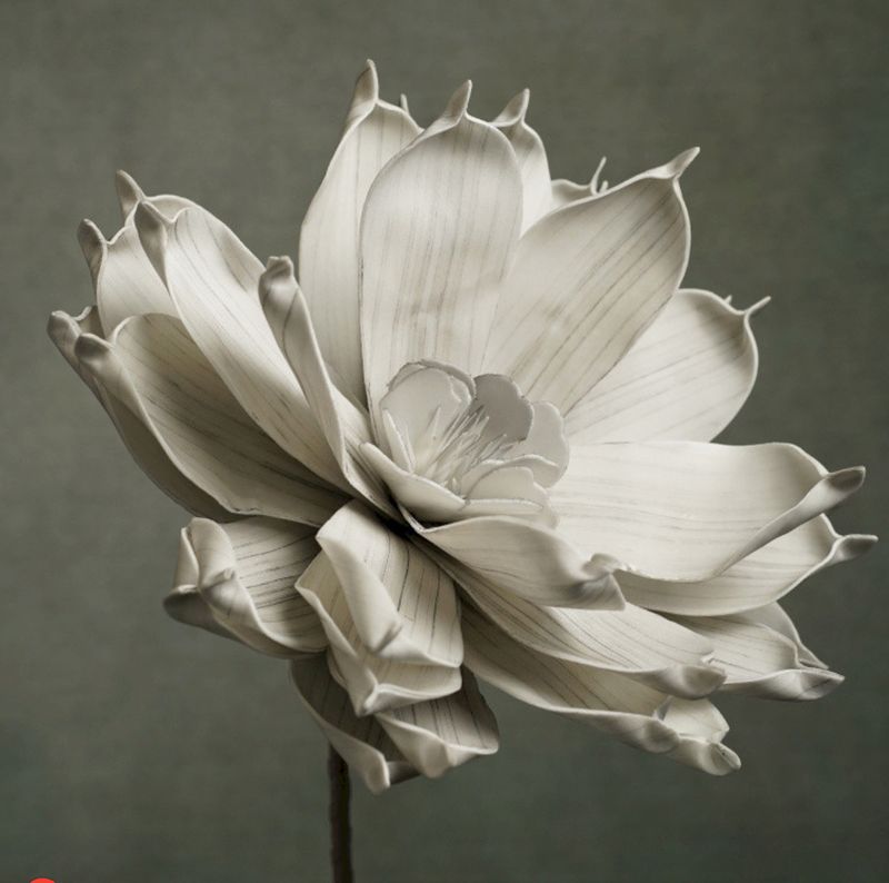 FLORA NELLY