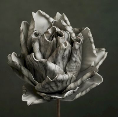 FLORA ELIA