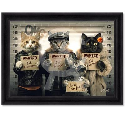 Chats voleurs 50x70 Chats voleurs 50x70