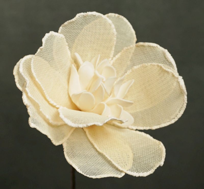 FLORA LILIA FLORA LILIA