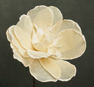 FLORA LILIA FLORA LILIA