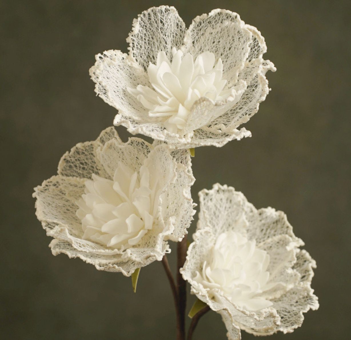 FLORA LYDIA