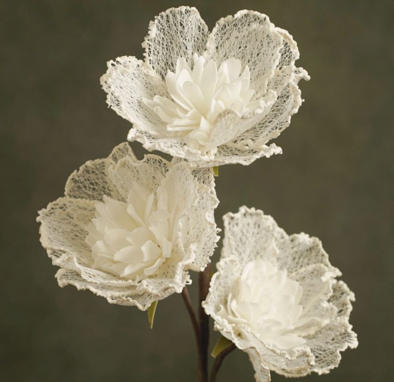 FLORA LYDIA