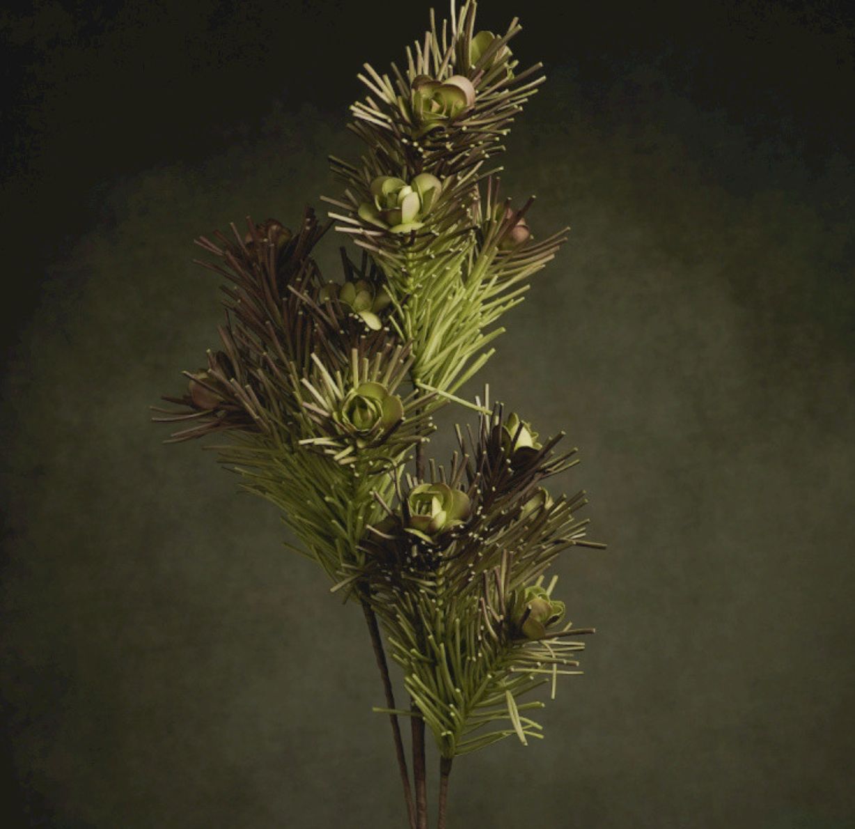 FLORA BERTHA