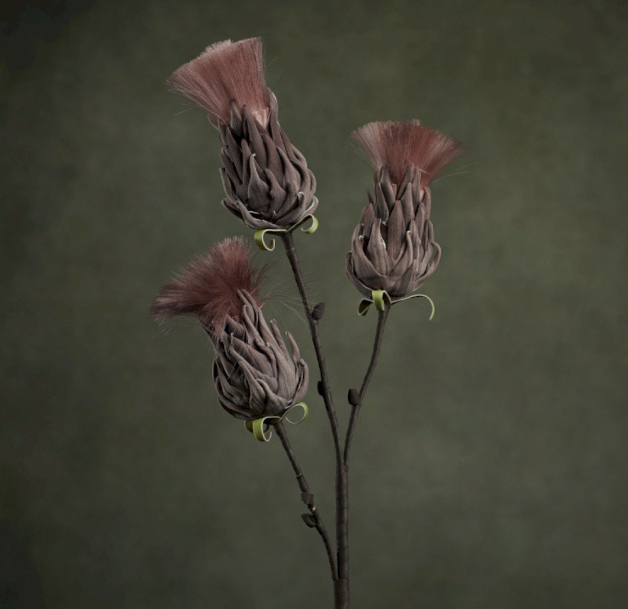 FLORA BUNCH
