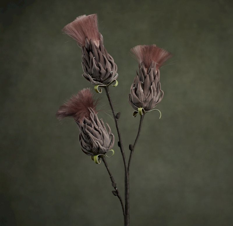 FLORA BUNCH