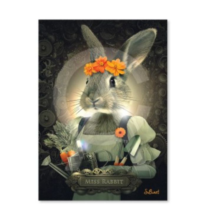 Plaque S.Binet 20x28 Plaque S.Binet 20x28