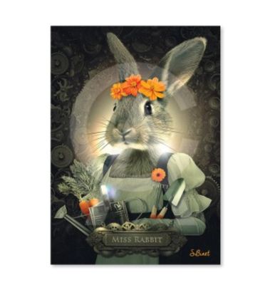 Plaque S.Binet 20x28 Plaque S.Binet 20x28