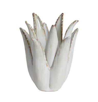 CACTUS CACTUS