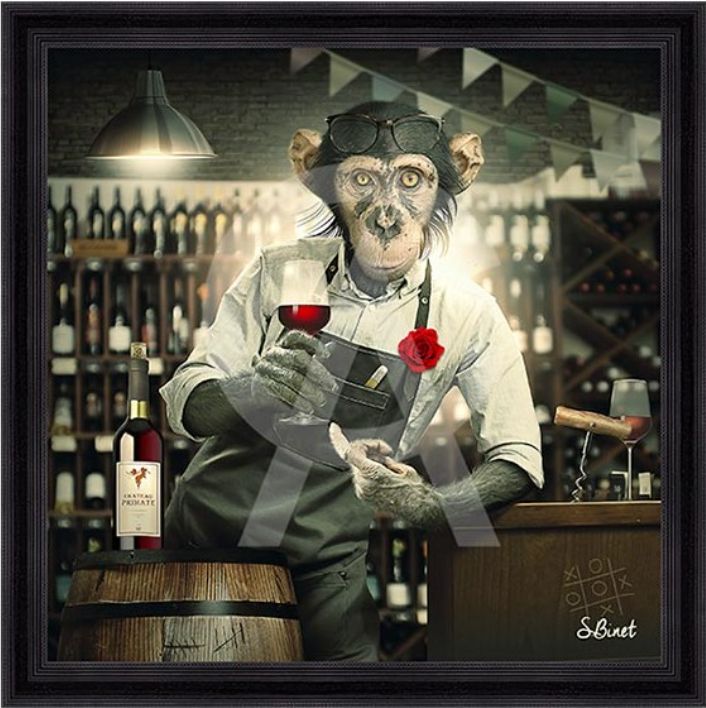 Singe caviste 40x40 Singe caviste 40x40