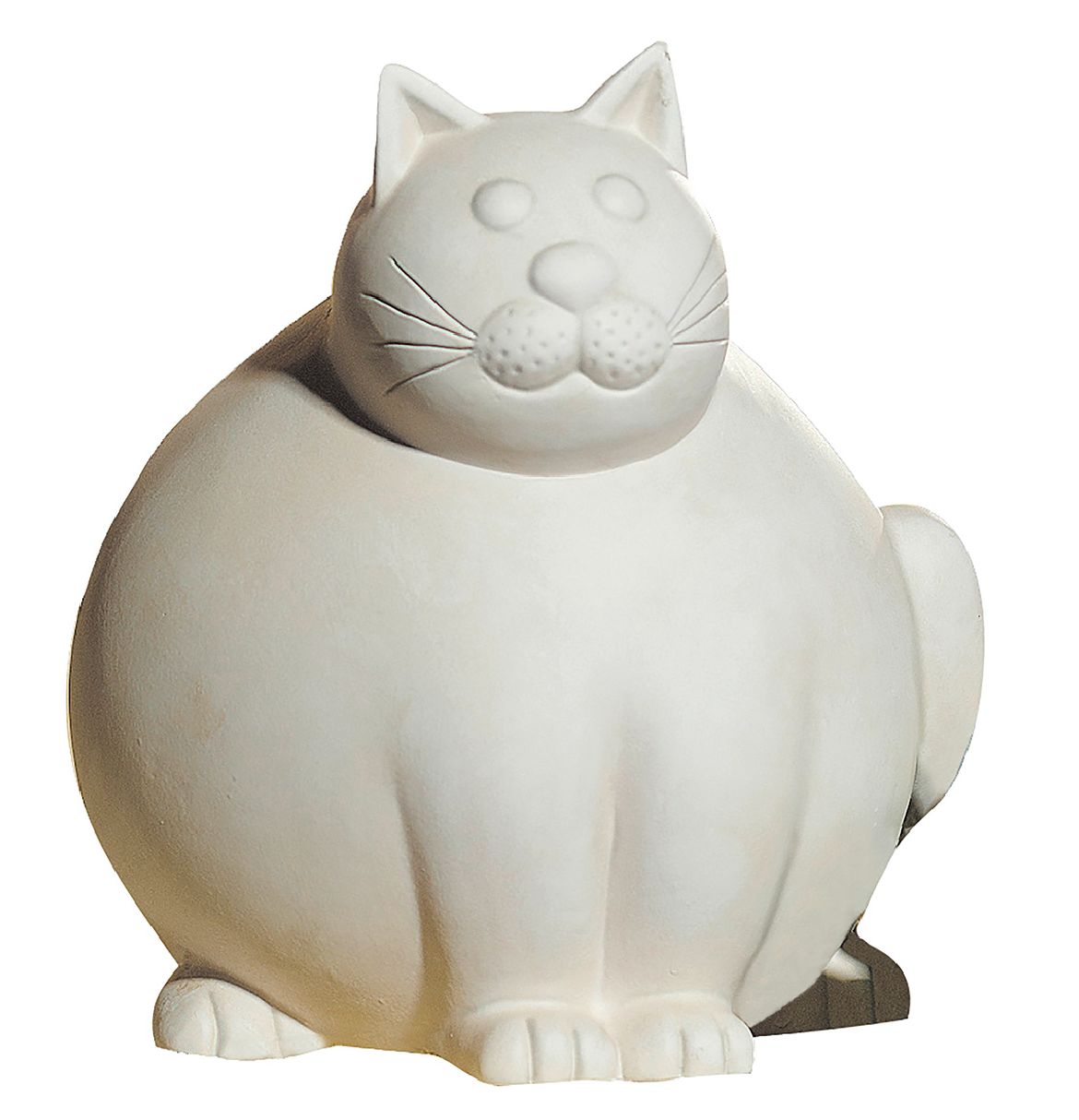 MOLLI sujet chat