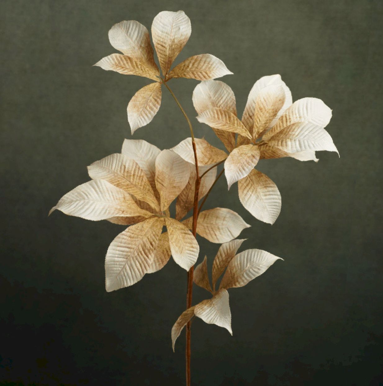 FLORA AILENE
