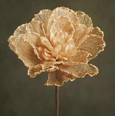 FLORA IRINA FLORA IRINA