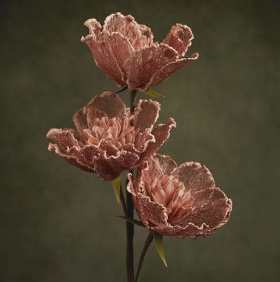 FLORA LYDIA