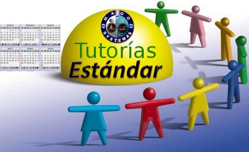 6 MESES DE TUTORÍAS ESTÁNDAR
