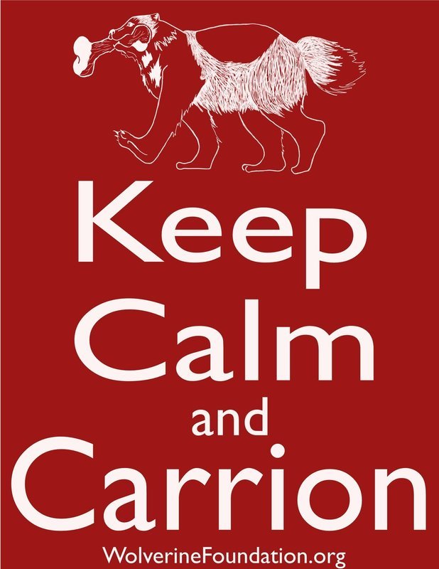 "Keep Calm and Carrion" Sticker