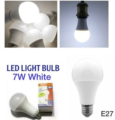 LED Bulb (white 7W)