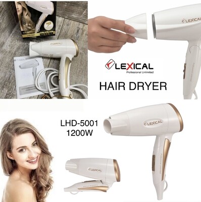 Hair Dryer (LHD-5001)