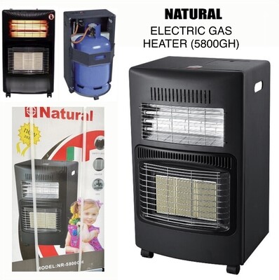 Electric Gas Heater (2)