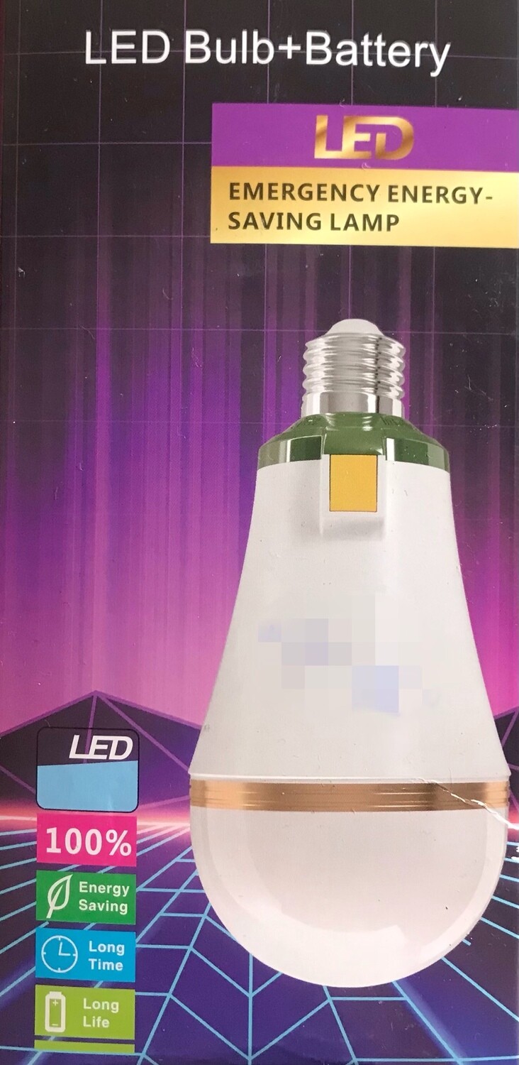 LED Bulb+Battery 20W*